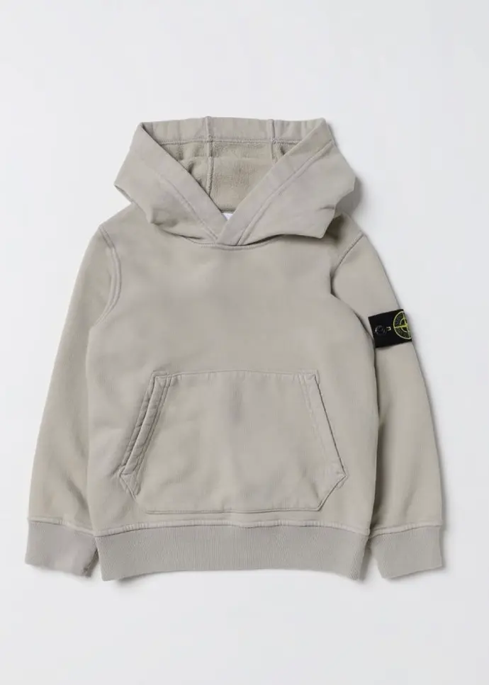 Sweat-shirt à capuche Stone Island